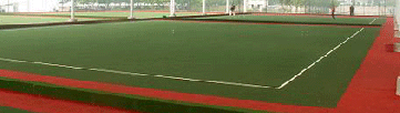 門球